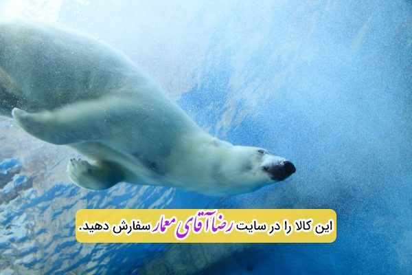 سقف کشسان طرح ماهی اکواریوم کد xvn135