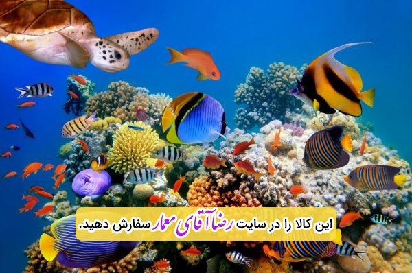 سقف کشسان طرح ماهی اکواریوم کد xvn137