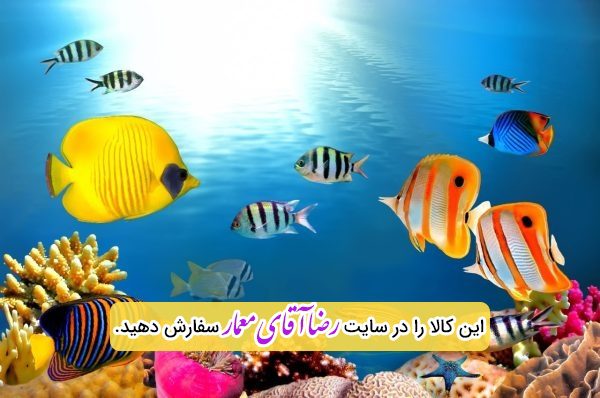 سقف کشسان طرح ماهی اکواریوم کد xvn138