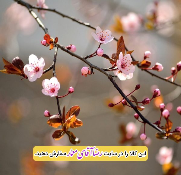 سقف کشسان طرح شکوفه گل کد xvn131