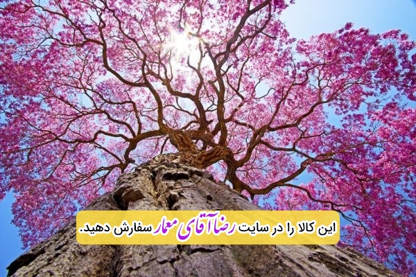 سقف کشسان طرح گل شکوفه کد xvn172